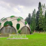 Kebun Raya Indah di Indonesia